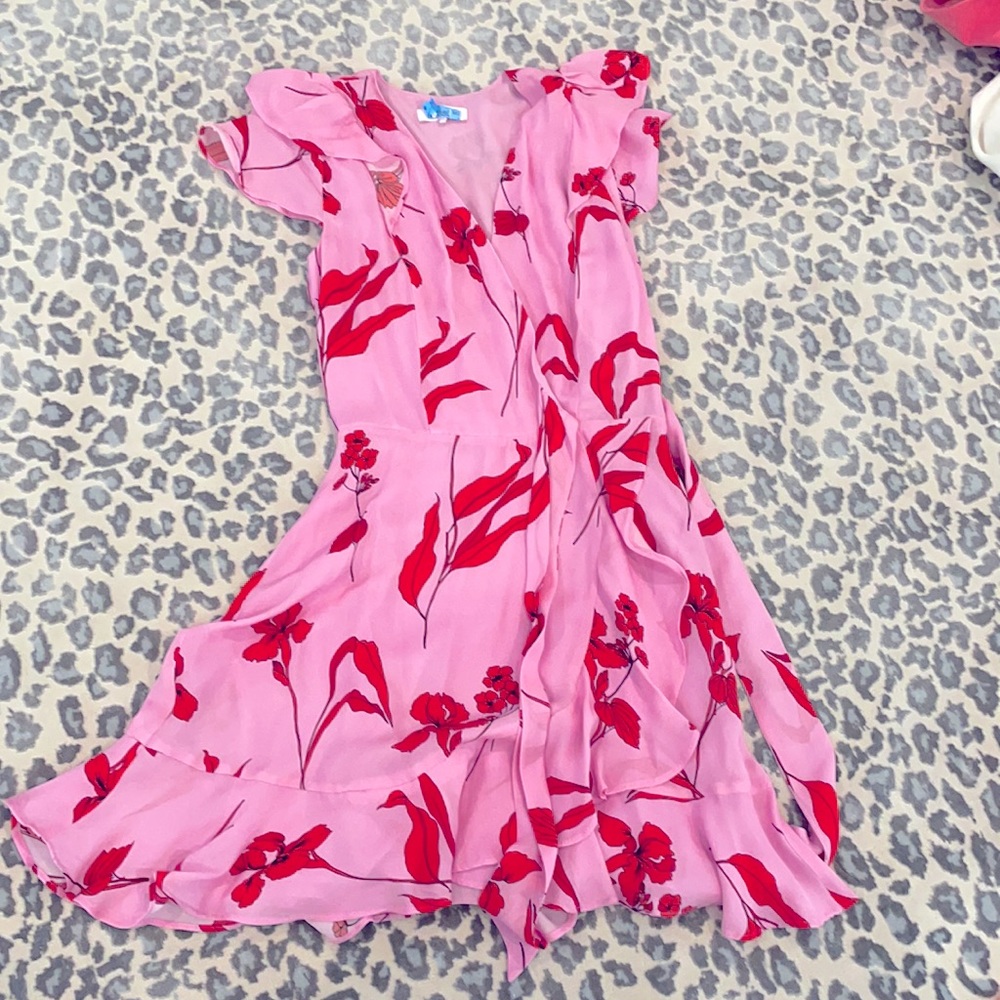 Parker 00 dress NWOT